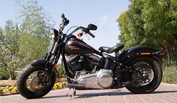 2009 Harley Davidson Softail