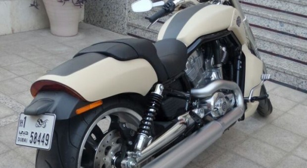 Harley Davidson V-Rod Muscle